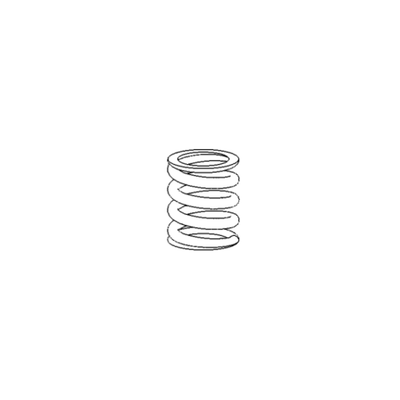 244 X2 preload spring