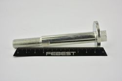 Болт с эксцентриком автомобильный задний правый/левый Febest 2929-003