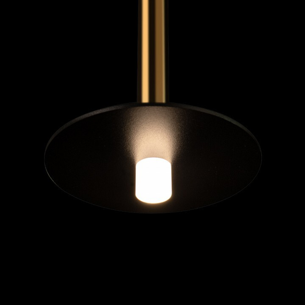 Подвесной светильник Loft it Reed 10358/830 Disk AB