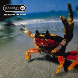 Виниловая пластинка Prodigy – The Fat Of The Land 2LP