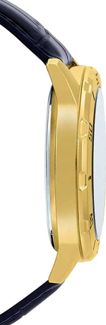 Часы Casio MTP-VD01GL-1E