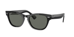 RAY-BAN LARAMIE RB2201 901/58