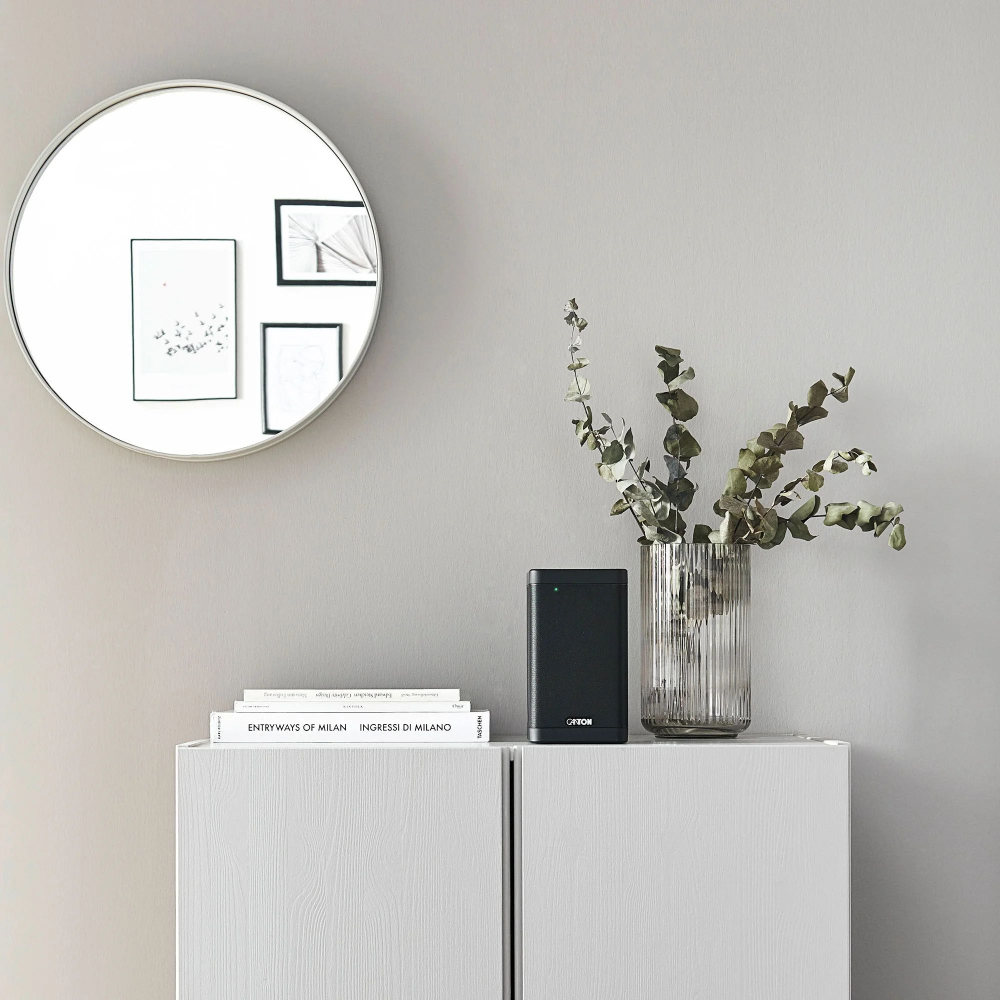 Мультирум акустика Canton Smart Soundbox 3