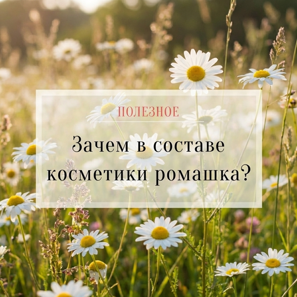Зачем в составе косметики ромашка?