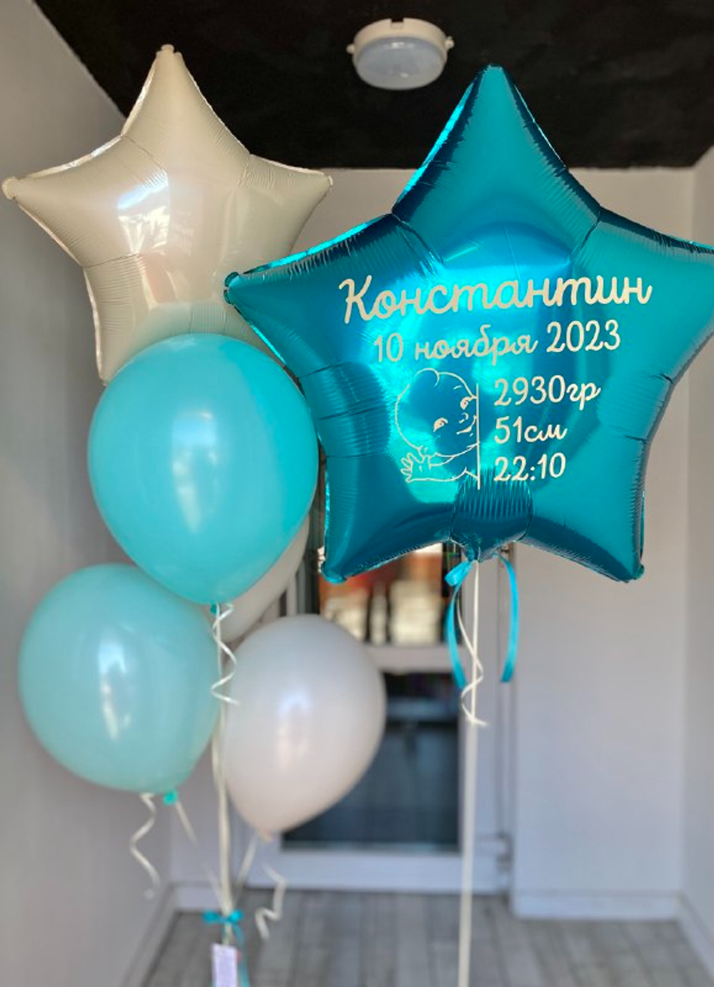 Воздушные шары №230