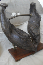 Челюсть мамонта (mammoth jaw)