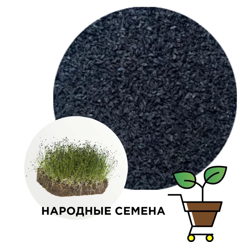 Лук шнитт (семена)