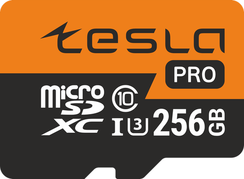 Карта памяти ТЕСЛА (TESLA) 256Гб microSDXC, C10/UHS-I U3 (TSLMSD256GU3)