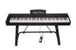 Pierre Cesar DP-121-H