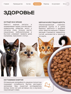 Корм сухой для котят породы Абиссинская, с индейкой, 2кг, QUATTRO