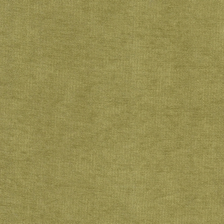 Микровелюр Candy olive (Канди олив)
