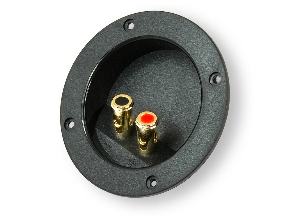 Акустический терминал WTB-761P - BUZZ Audio