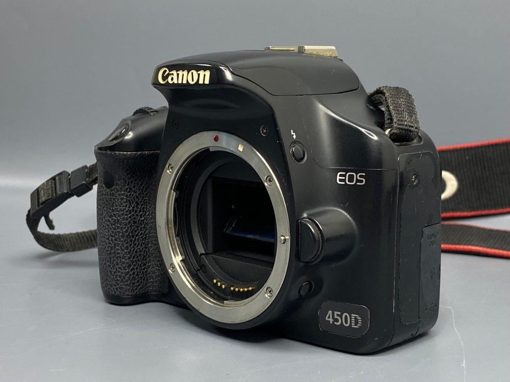 Canon EOS 450D — 25000 кадров