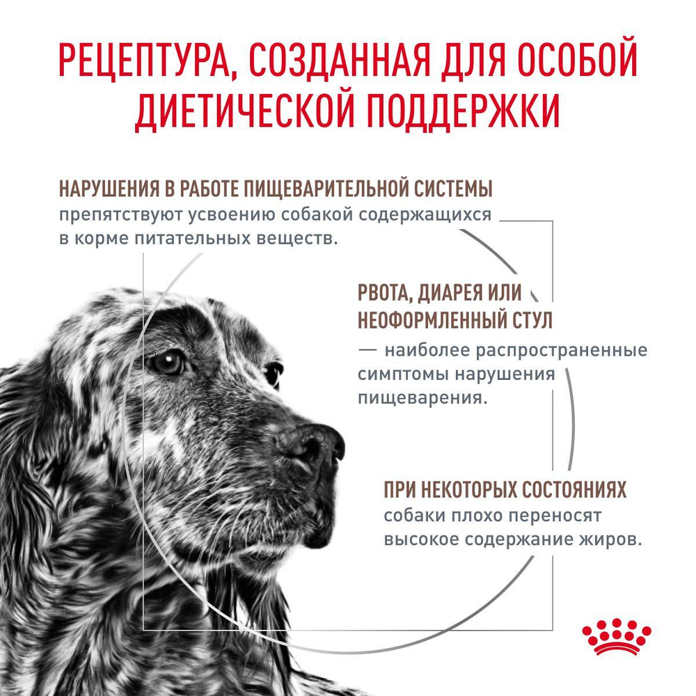 Royal Canin Gastrointestinal Low Fat Гастроинтестинал Лоу Фэт Корм сухой диета для собак при нарушениях пищеварения 12кг