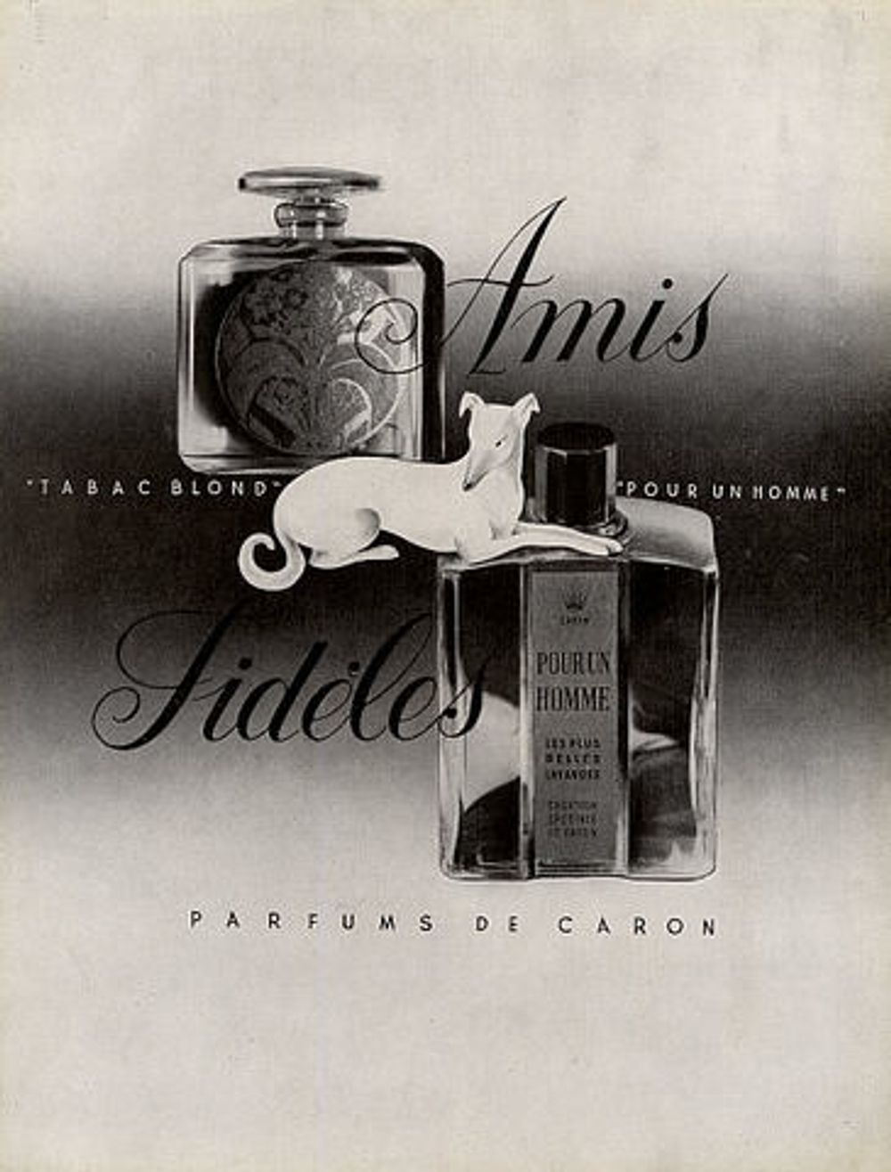 Caron Tabac Blond