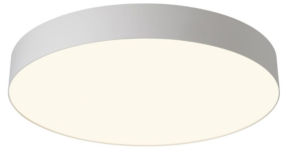 Накладной светильник Citilux BART CL755490