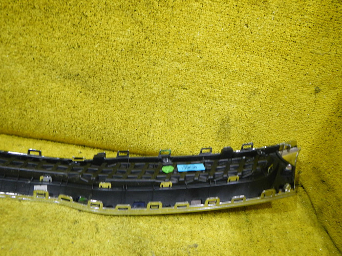 DSCN4488.JPG