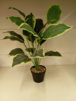Растение искусственное Plant claims Croton lake 11374 в кашпо 65x70x70см