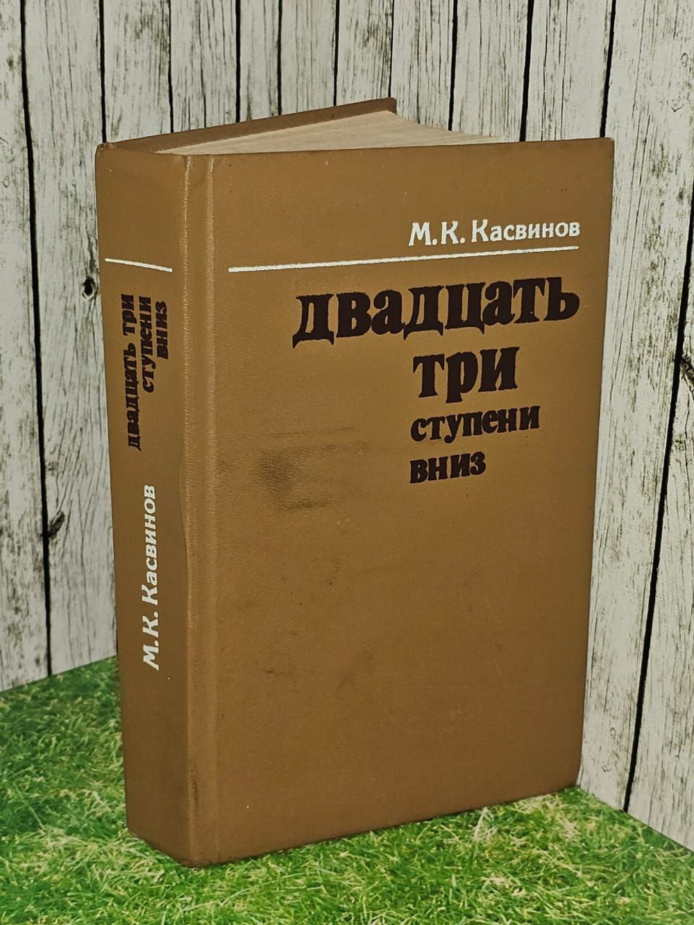 Двадцать три ступени вниз. Касвинов Марк Константинович.
