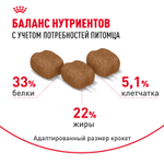 Royal Canin Hair&Skin Care Хэйр Энд Скин Кэа Корм сухой для взрослых кошек поддержание здоровья кожи и шерсти 10кг