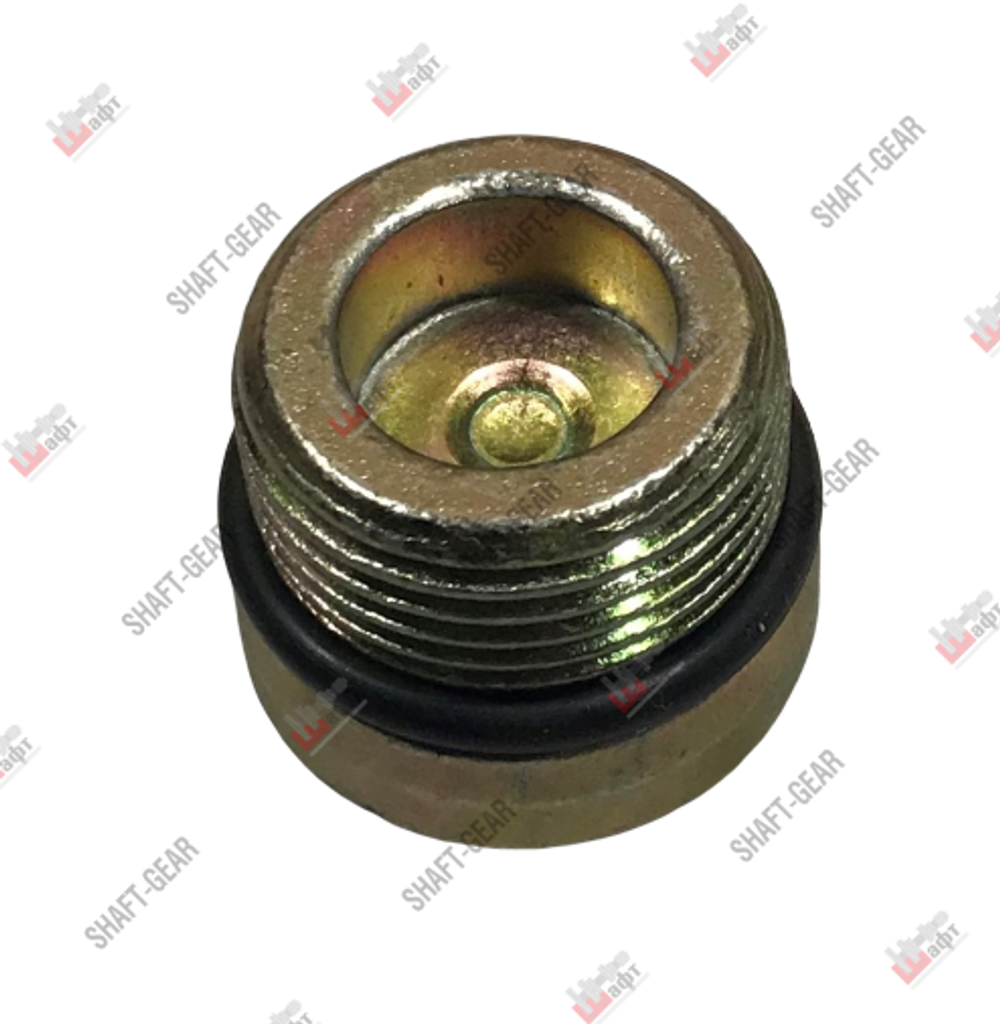 6JS160T-1709587-1 - Пробка винтовая на КПП
