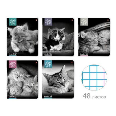 Тетрадь 48л. "Котята "Мур-Мур" (Альт)