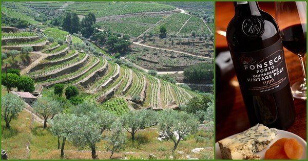 The Wine Advocate оценил Fonseca Guimaraens Vintage Port 2008 в 93 балла The Wine Advocate оценил Fonseca Guimaraens Vintage Port 2008 в 93 балла