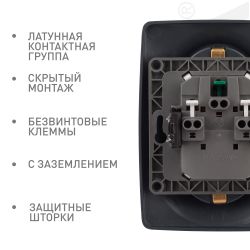 Розетка ЭРА Серия 12 12-2108-06 2X2P+E Schuko со шторками 16A-250В IP20 чёрный | Эра 12