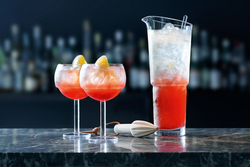 Набор коктейльный connoisseur mixologist, 22 пред.