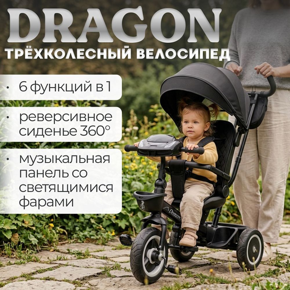 Детский беговел-велосипед BubaGo Dragon арт.BG 161-4 цвет Черный
