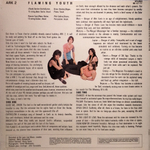 Flaming Youth / Ark 2 (LP)
