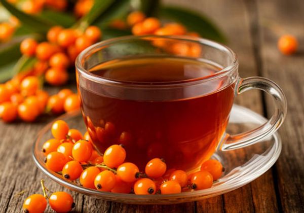 Рецепт облепихового чая - как приготовить вкусный напиток в домашних условиях Рецепт облепихового чая - как приготовить вкусный напиток в домашних условиях