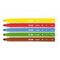 Flomaster \ Фломастер \Box 5 cone-tıpped water-based fıbrepens
