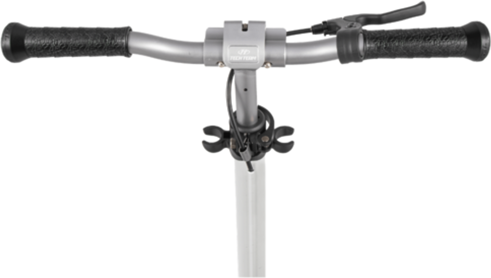 Городской самокат TechTeam Sport 230R 2021, коричневый