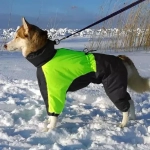 Комбинезон зимний для собаки White Wolf вырез на девочку лимонно-черный