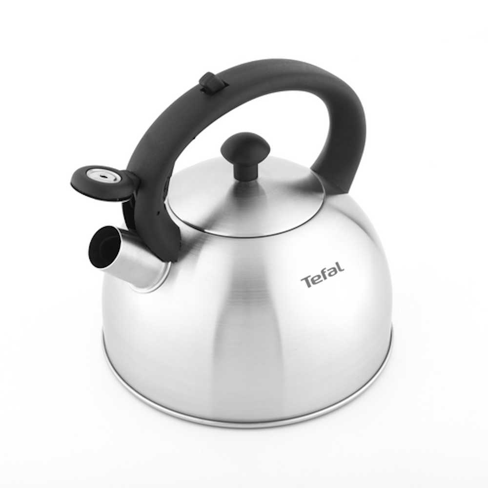 Чайник для плиты Tefal Nova 2,5 л матовый N4210117