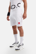 Теннисные шорты HYDROGEN MESH TECH SHORTS  (D00012-001)