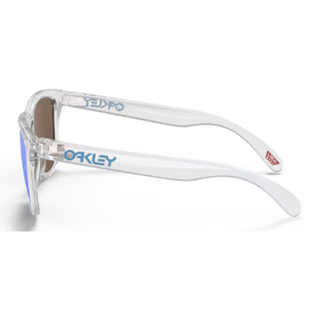 Oakley Frogskins Tinted Очки A7
