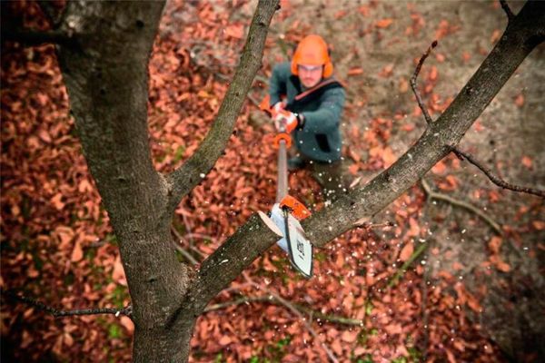 Как выбрать высоторез: руководство для покупателя