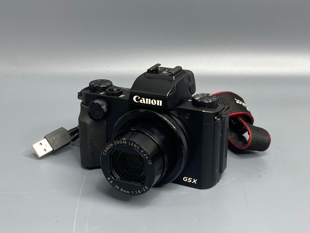 Canon G5X Грибок под линзой