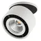 Точечный светильник Forte Inca 213806 Lightstar