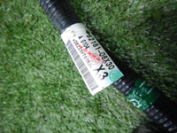 DSCN1639.JPG