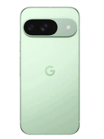 Смартфон Google Pixel 9 12/128Gb Wintergreen