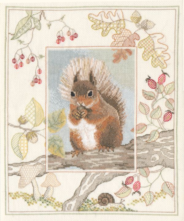 Набор для вышивания нитками Derwentwater Designs, Red Squirrel, 26,9х34,2 см