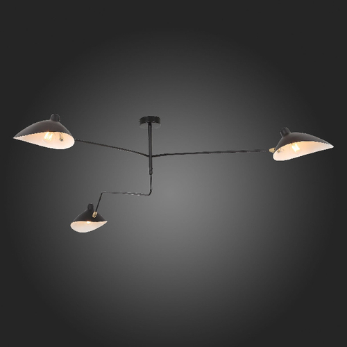 Потолочная люстра ST Luce SPRUZZO SL305.402.03