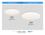 Накладной светильник Ambrella Light FZ FZ417