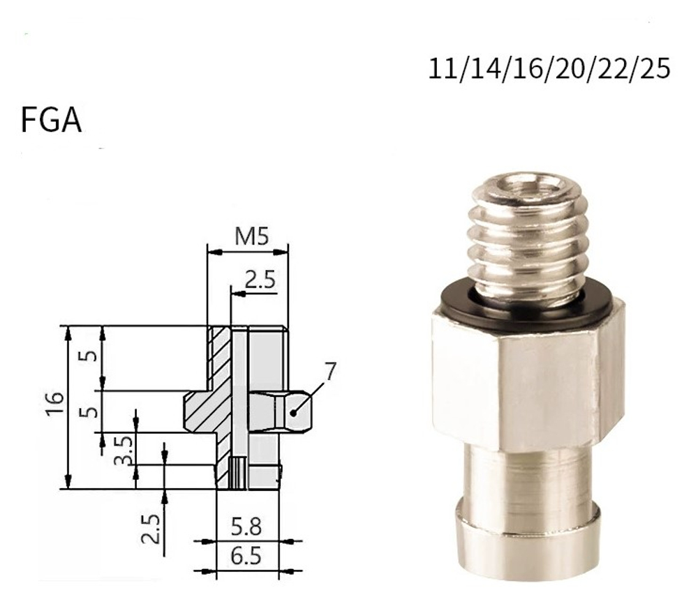 Fga1-a5 (external teeth)