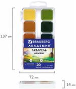 Краски акварельные BRAUBERG "АКАДЕМИЯ", 20 цветов, медовые, квадратные кюветы, пластиковый пенал, 190553