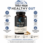 Terra Origin, Healthy Gut ™ Reset PM, 60 капсул