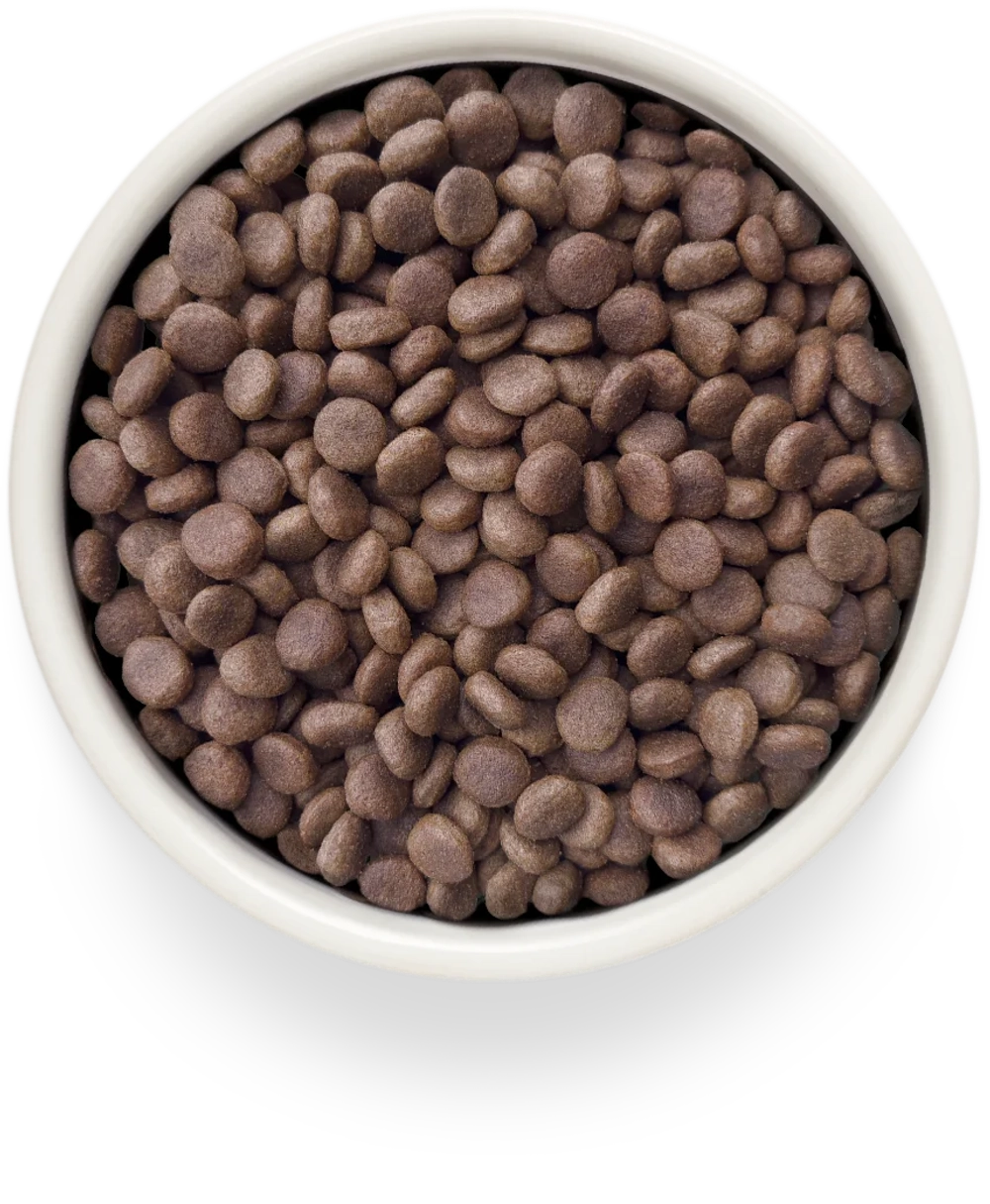 Grandorf HYPOALLERGENIC, Gluten & Grain Free, Veterinary Diet (Rabbit)